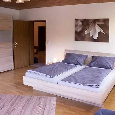 Apartamento Schoene Mit Grosser Terrasse. Schmidmuhlen
